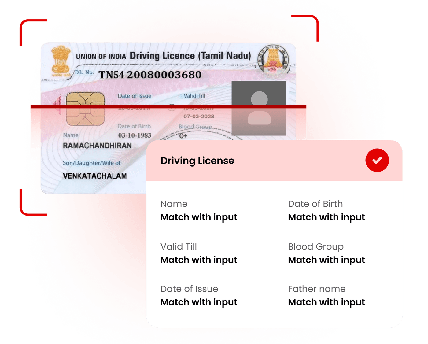 Driving License