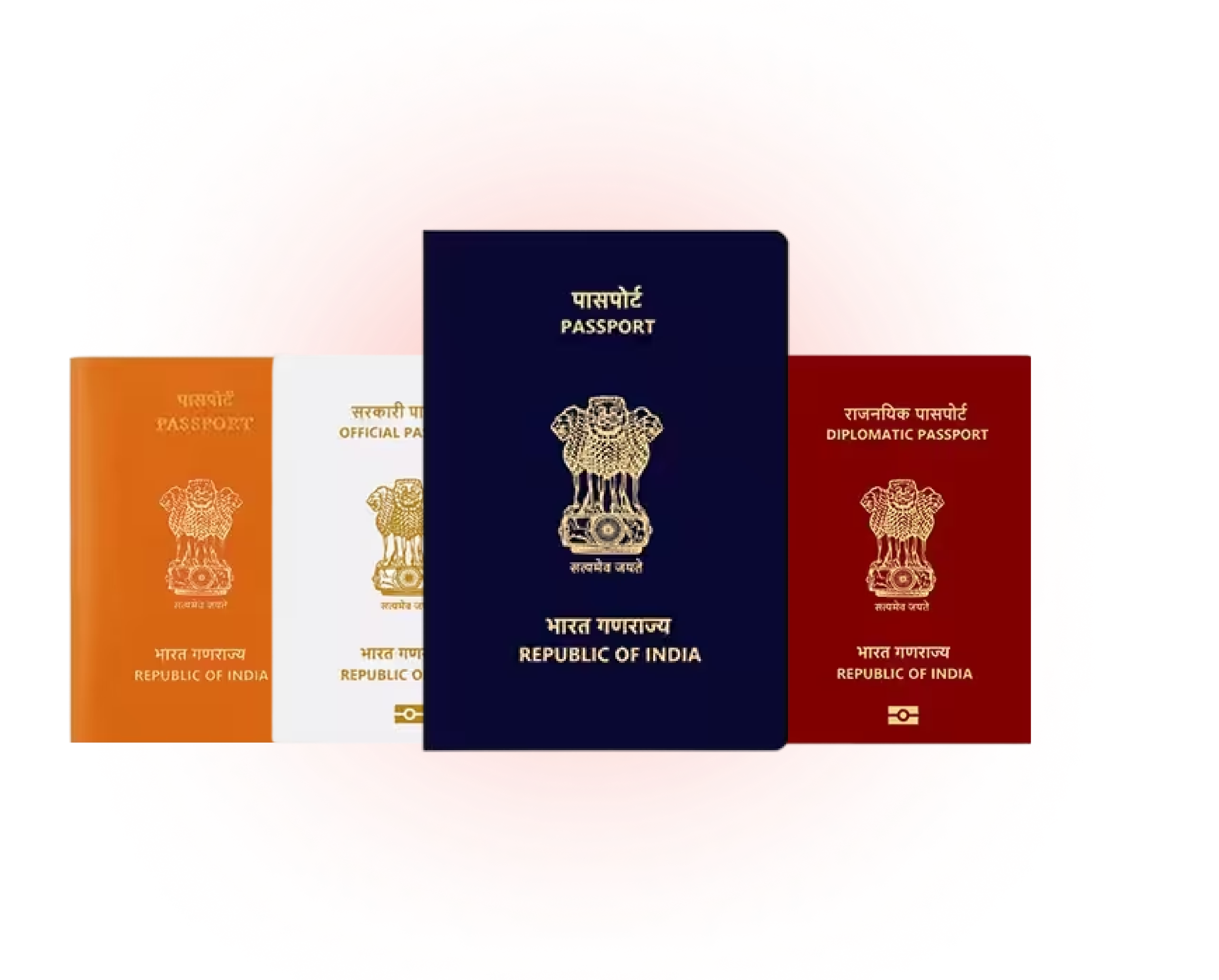 Passport Verification